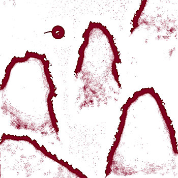 soicaulode mb