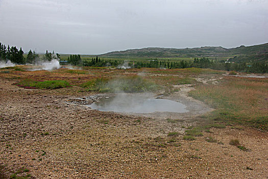 soi cầu 8785