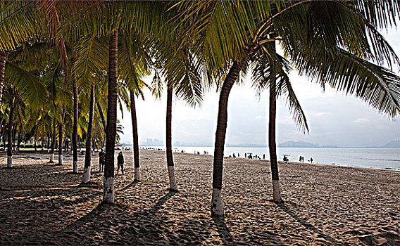 bach thu lo