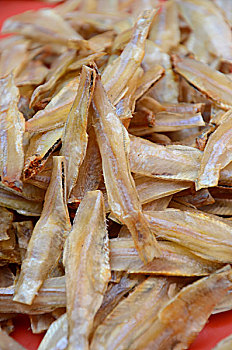 cầu lô đẹp hôm nay