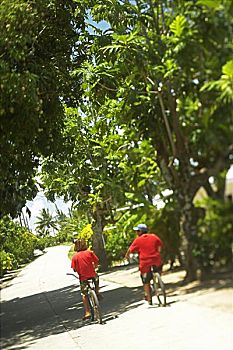 soi cầu lô đề miễn phí