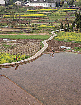 soi cầu thuận vũ