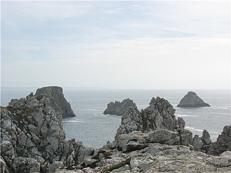 câu lô
