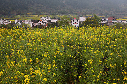 cách đánh lô chắc ăn