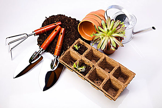 soi cầu xổ số quảng bình