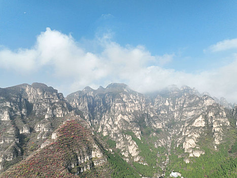 soi cầu bạch thủ đề