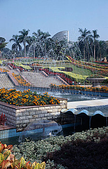 bạch thủ lô tô