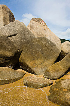 soi cau mo bi
