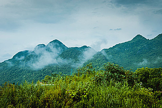 sổ kết quả 100 ngày