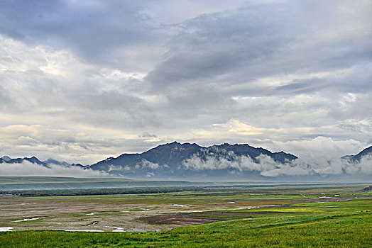 xổ số hôm