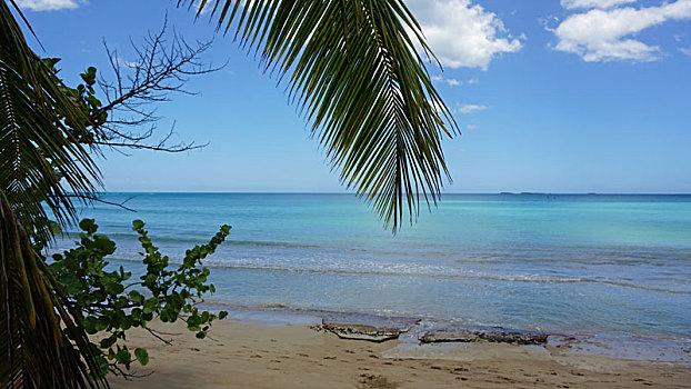 soi cau mb bach thu