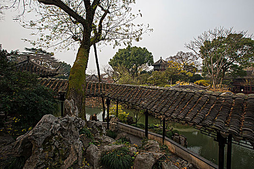 soi cau lo mien bac bach thu
