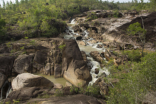 lo bach thu khung 3 ngay mien phi