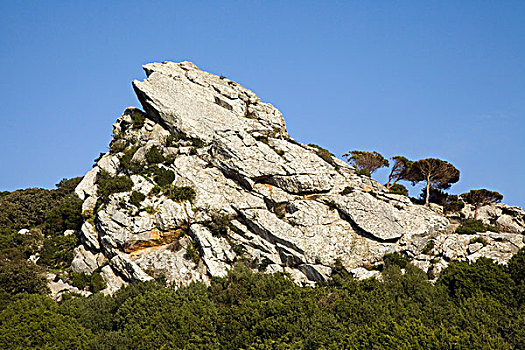 du doan than tai mn