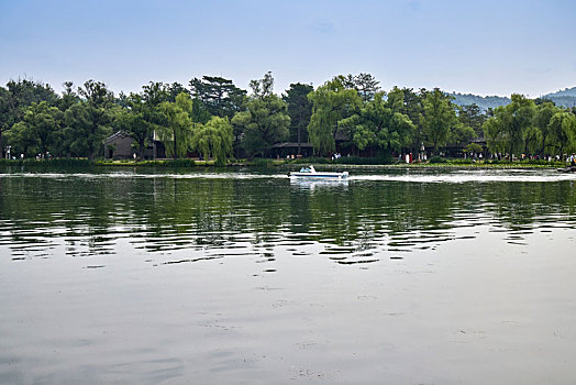 cau bach thu