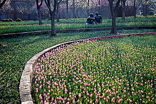 dự đoán vietlott