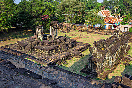 bạch thủ miền bắc