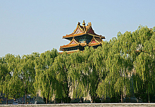 soi cau kg