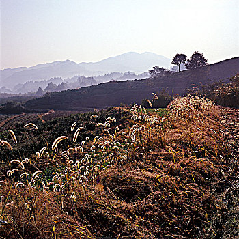 du doan xs quang nam wap