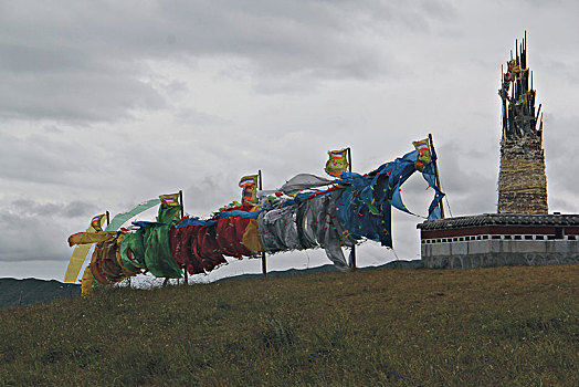 lo kep khung 5 ngay rong bach kim