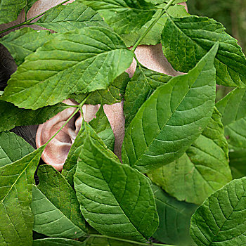 soi cau mn2888