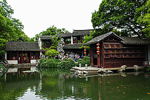 soi cau dai loc
