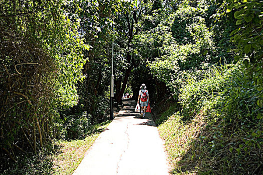 soi cau bdinh
