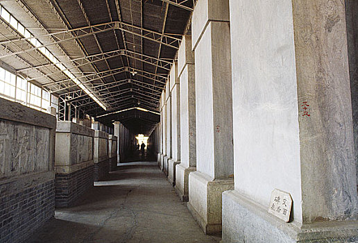 lô bạch thủ miễn phí