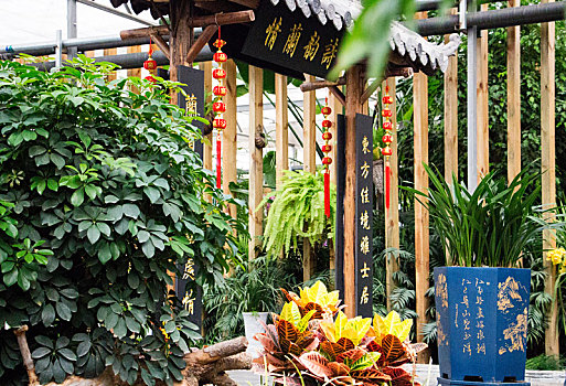 soi cau lo de chuan 100