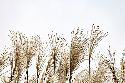 cách chơi đề dàn