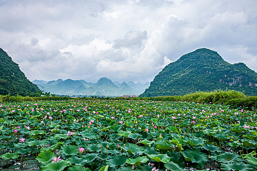 kết quả xổ số tây ninh