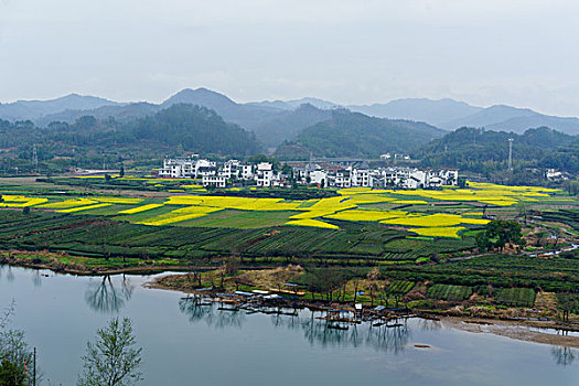 thong ke tan suat