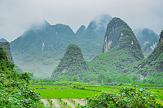 kết quả xổ số trà vinh