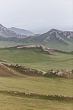 soi câu