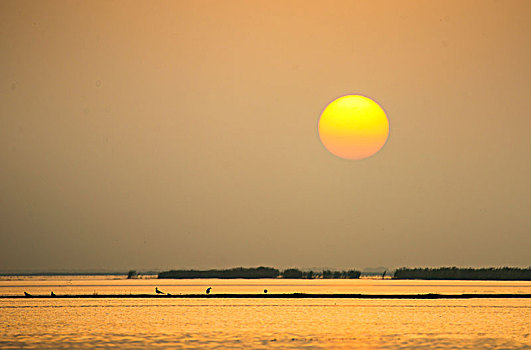 xs ninh thuân