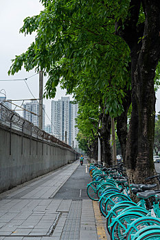soi cầu bạch thủ miền bắc