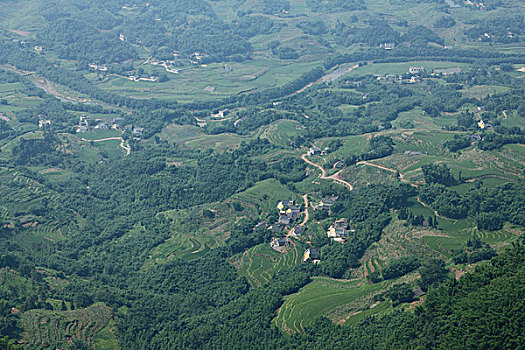 xsvl du doan