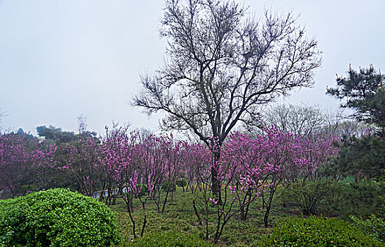 thống kê lô tô