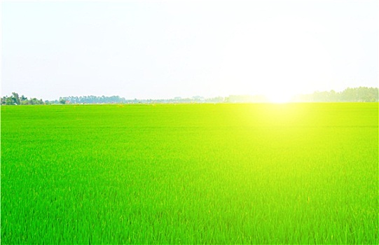 soi cầu thuận vũ 286