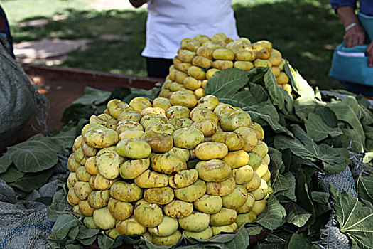 dudoanketquaxoso