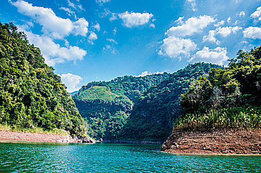 soi cau lo bach thu rong bach kim