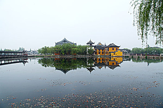 soi cau lo bach thu