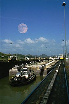 soi cau rong bach kim 88