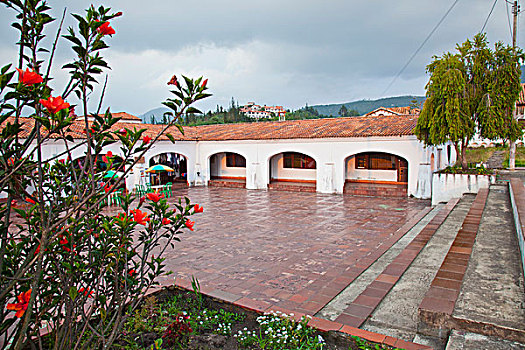 cau xsmb 24h