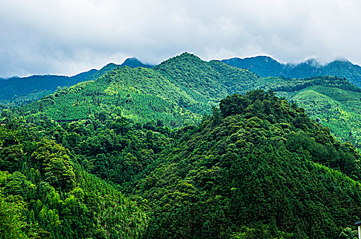 soi cau lo de chuan 100