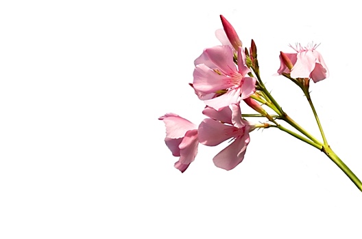 trực tiếp xổ số đồng tháp