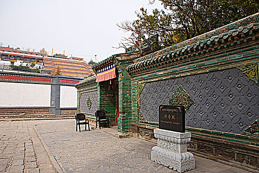 cầu bạch thủ miền bắc