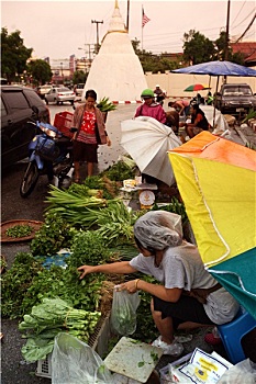 soi cau la