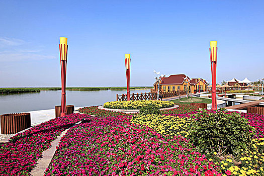 bạch thủ lô miền bắc