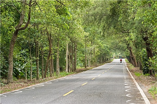 soi cau 2 nhay